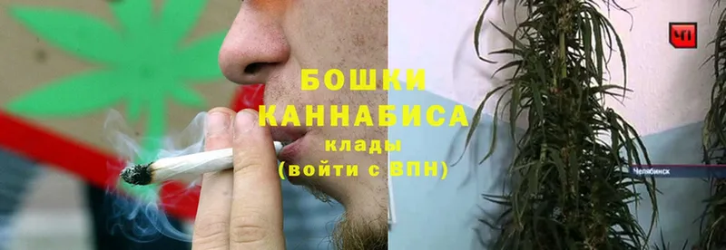 купить наркотик  kraken ССЫЛКА  Марихуана Bruce Banner  Питкяранта 